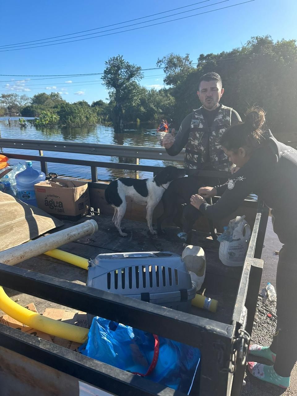 Voluntário transporta animais e pertences resgatados em área alagada durante as enchentes do Rio Grande do Sul